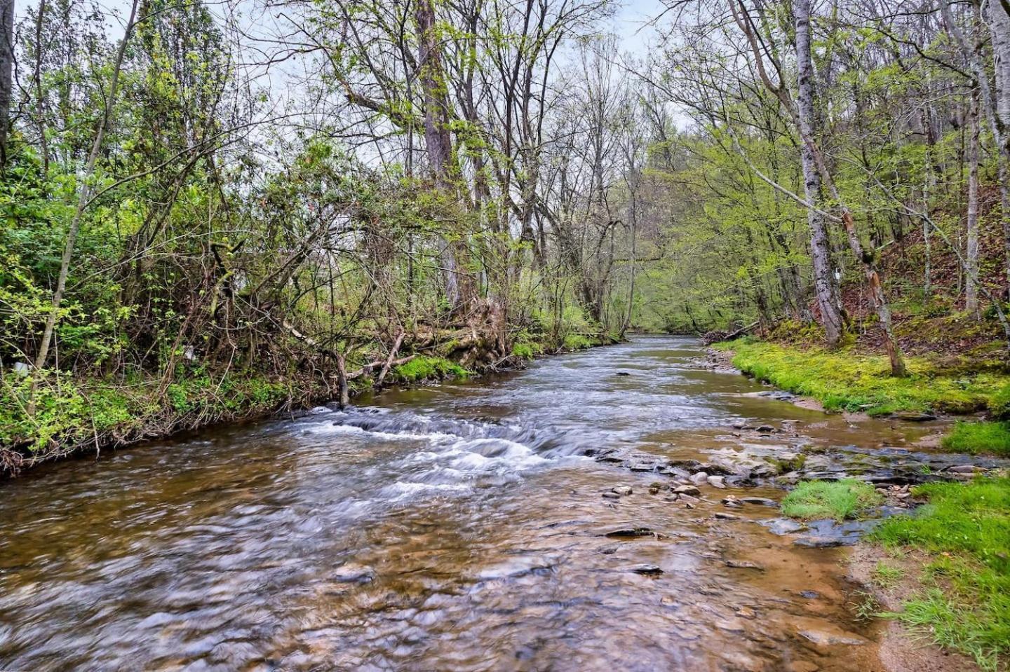 Вілла 1 Mile To Pkwy, Pets, Hot Tub, Creekside, Porch Піджен-Фордж Екстер'єр фото