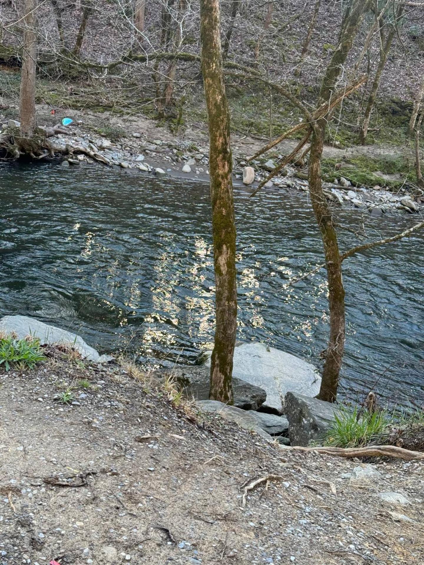 Вілла 1 Mile To Pkwy, Pets, Hot Tub, Creekside, Porch Піджен-Фордж Екстер'єр фото